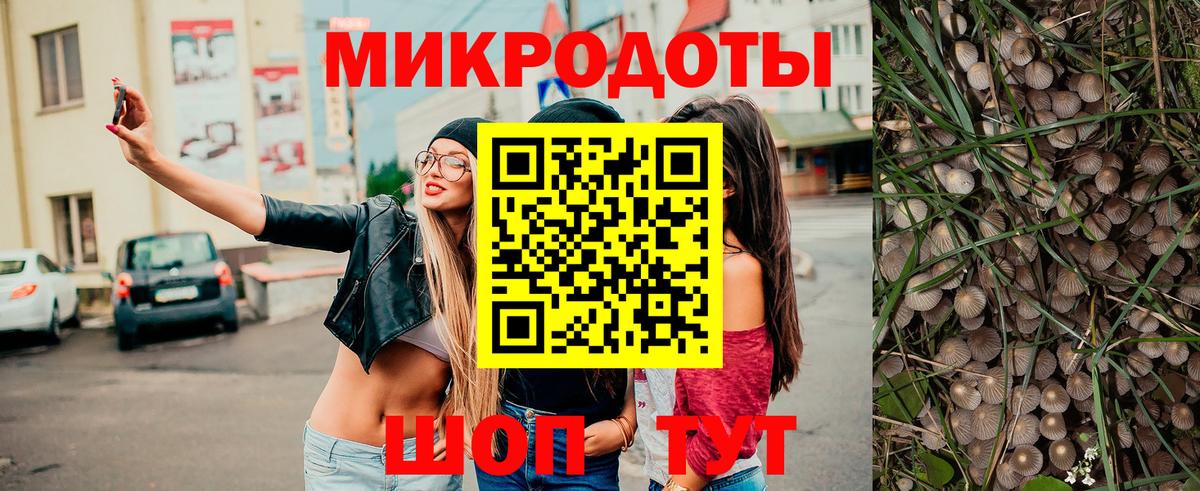 Красный Сулин  Псилоцибиновые грибы Psilocybine cubensis  Вход с VPN 